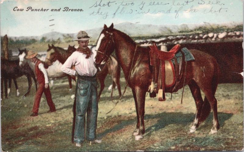 Cow Puncher and Bronco Cowboy Horse c1908 Antique Postcard E18