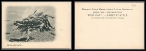 British India Antique Vintage Post Card H[ndu Cremation unused