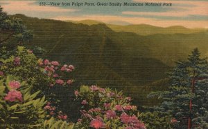 Vintage Postcard View From Pulpit Point Great Smoky Mountains National Park