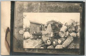 FARMERS HORSE WAGON CORN CABBAGE EXAGGERATED ANTIQUE REAL PHOTO POSTCARD RPPC