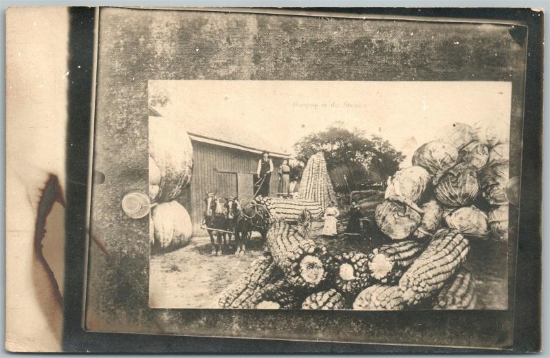 FARMERS HORSE WAGON CORN CABBAGE EXAGGERATED ANTIQUE REAL PHOTO POSTCARD RPPC