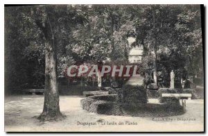 Old Postcard Draguignan The Jardin des Plantes