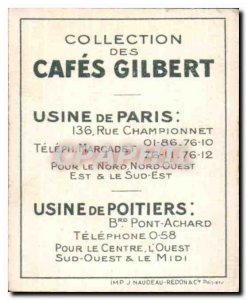 Image Cafes Cafes Gilbert Gilbert oarfish Fish