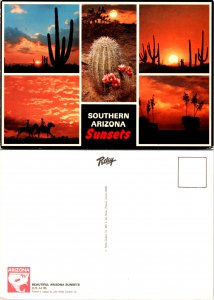 Southern Arizona Sunsets (10905)