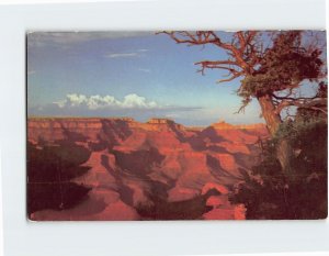 Postcard Sunset At The Grand Canyon from Yaki Point, Arizona