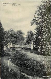 C-1910 St Louis Missouri Scene Forest Park Bridge postcard 10936