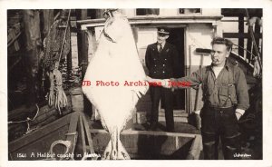 Fishing, RPPC, Man Smoking Cigar with Halibut Caught in Alaska on Fishing Boat