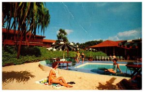 Maui Palms on the Valley Isle of Maui Hawaii Postcard Posted 1964