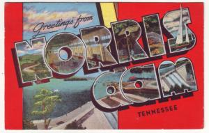 P527 JLs 1951 large letter greetings norris dam tennessee scene