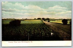 Country View   Bloomington  Illinois  Postcard  c1910