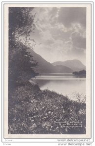 RP; Daffodils on Margin of ULLSWATER, United Kingdom, 30-50s