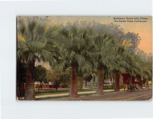 Postcard Residence Street with Palms For Shade Trees California USA