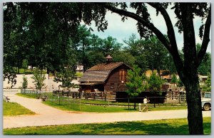 Vtg Atlanta Georgia GA Grant Park Zoo Chrome View Postcard