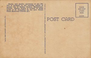 Marine Studios Sharks and Shipwrecks