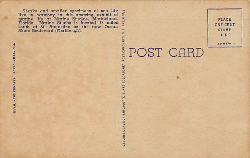 Marine Studios Sharks and Shipwrecks