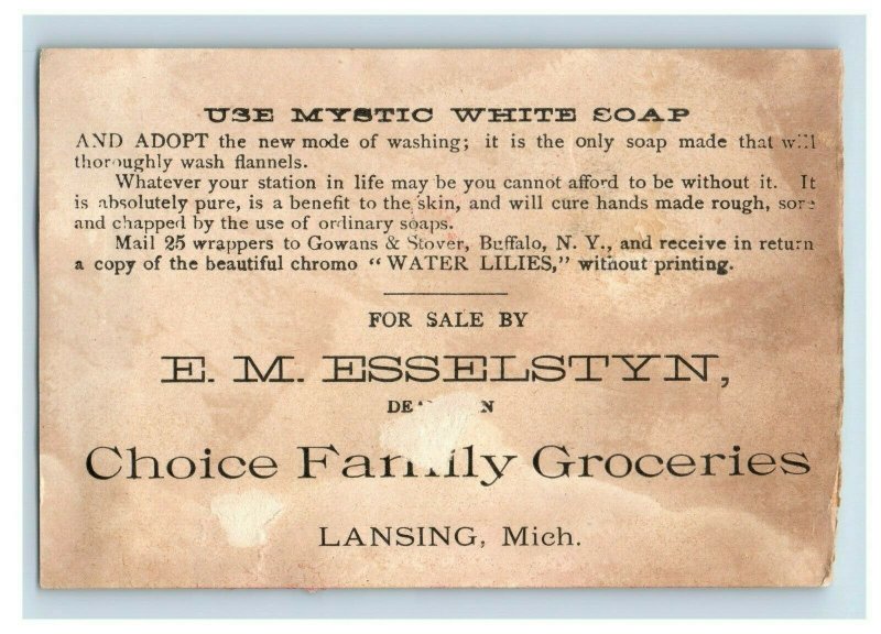 1880's E. M. Esselstyn, Mystic White Soap, Lansing, MI Victorian Trade Card F95