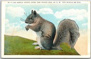 1938 Eastern Gray Squirrel, I am Simply Nutty Over The White Mts. NH, Postcard