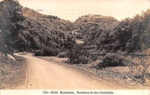 Bald Mountain - Roxbury in the Catskills, New York NY  