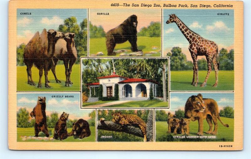 Postcard CA San Diego Zoo Multiview Animals Balboa Park Vintage Linen J16