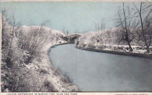 Illinois Glen Oak Park Lagoon And Bridge In Winter Time