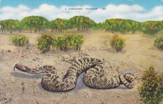 A Lonesome Rattlesnake