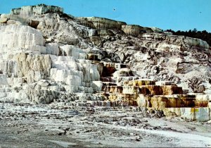 Yellowstone National Park Minerva Terrace