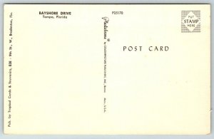 Tampa  Florida   Bayshore Drive    Postcard