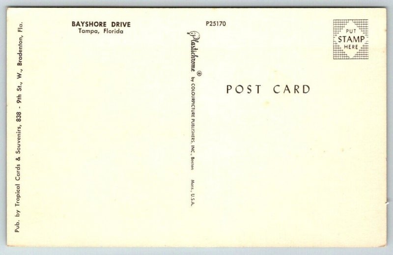 Tampa  Florida   Bayshore Drive    Postcard