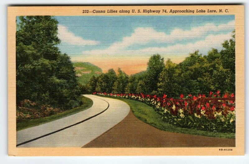 Canna Lilies Flowers Along US Highway 74 Lake Lure North Carolina Postcard Linen