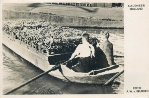 A Alsmeer Holland Foto A. W. v. Beurden Flowers Boat Netherland photo postcard