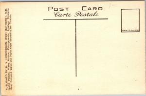 Gannets Nesting on Bonaventure Island, Perce Quebec Vintage Postcard I13