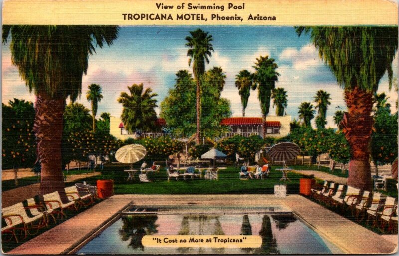 Linen Postcard Swimming Pool in Tropicana Motel in Phoenix, Arizona~1981 