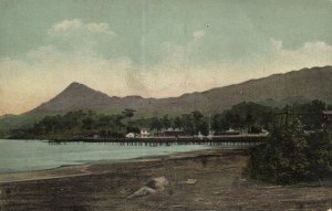 cameroon, Mount Cameroon Volcano (1908) Postcard