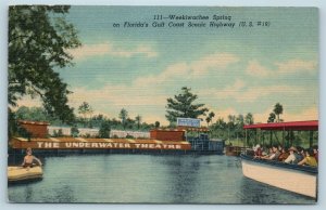 Postcard FL Weeki Wachee Spring Aquatic Zoo Underwater Theatre Vintage Linen B04