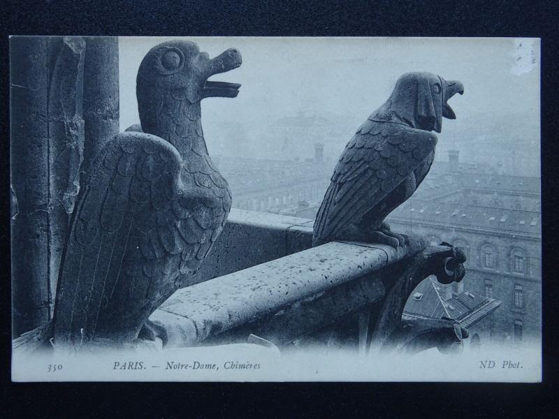 France Collection 8 x GARGOYLE related 7 x NOTRE DAME / 1 ROUEN c1905 Postcards