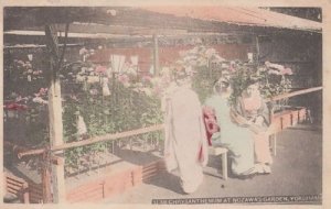 Yokohama Chrysanthemum Japanese Nozawa's Garden Japan Antique Postcard