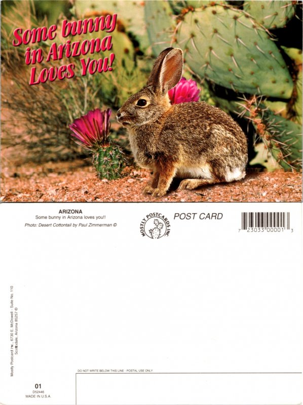 Some bunny in Arizona Loves You! (10824)