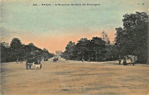 PARIS FRANCE~L'AVENUE du BOIS de BOULOGNE~1900s TINTED PHOTO POSTCARD