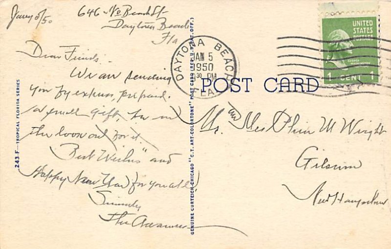 Picking Oranges Florida, USA Fruit Assorted 1950 