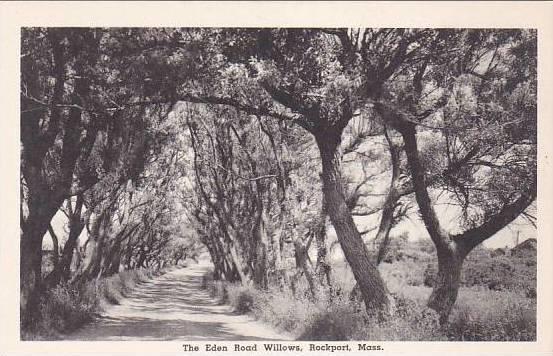 Massachusetts Rockport The Eden Road Willows Albertype