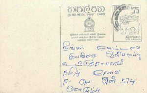 Entier Postal Stationery Postal Sri Lanka Ceylon Lion