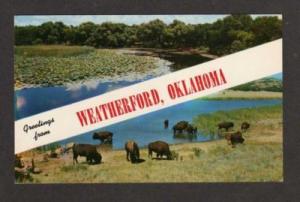 OK Greetings from WEATHERFORD OKLAHOMA Postcard Buffalo