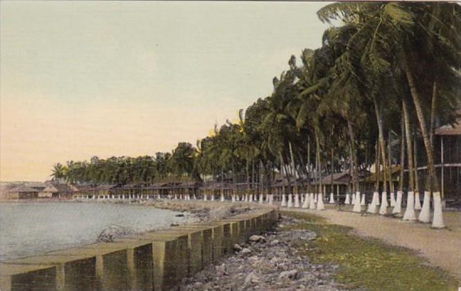 Panama Canal Beautiful Boulevard At Cristobal