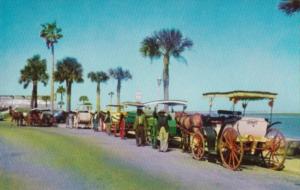 Florida St Augustine Colorful Horse Drawn Carriages