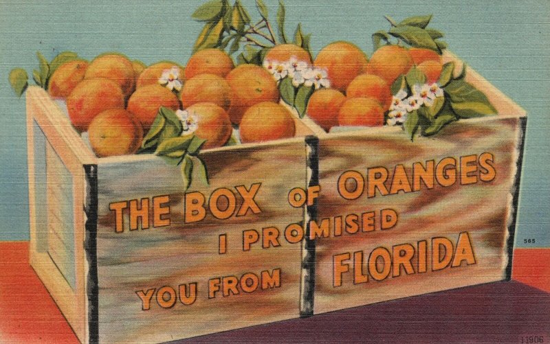 Vintage Postcard The Box Of Oranges Harvested In Florida Topical Series