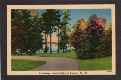 NY Greetings from CALLICOON CENTER NEW YORK PC Postcard