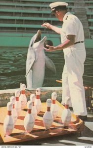 Miami , Florida , 50-60s ; Dolphin Bowling