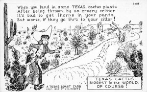 Artist CM Rogers Texas Cactus - Comic, Texas TX  