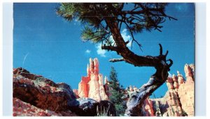 Queens Garden Bryce National Park Utah Black And White Postcard Posted 1957