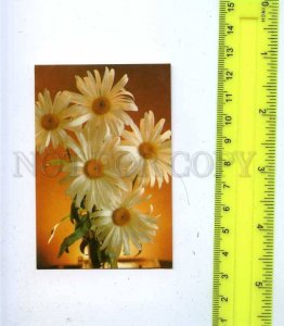 188777 USSR RUSSIA flowers chamomile Old CALENDAR 1990 year